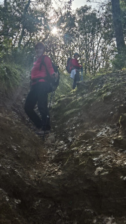 C'est parti pour "bartelasser"